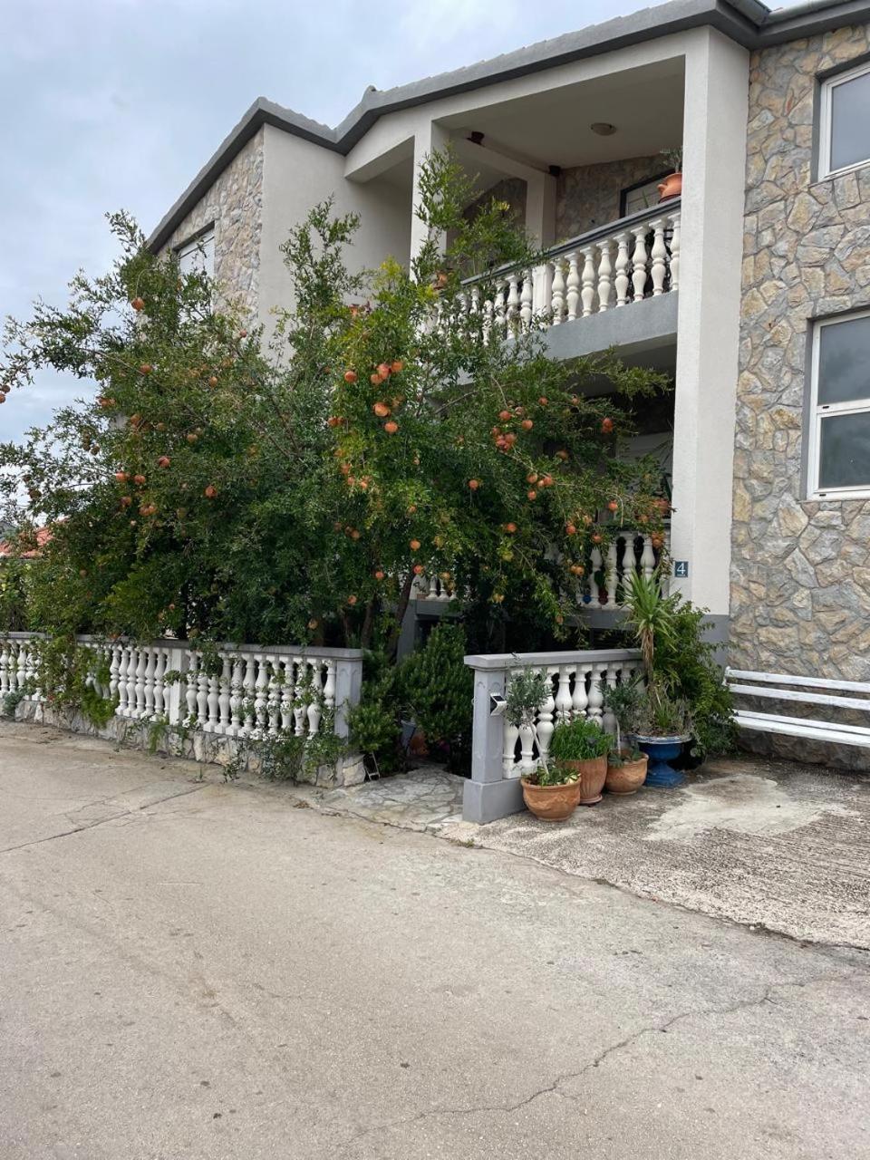 Apartman Suzana Sindija Bibinje Esterno foto