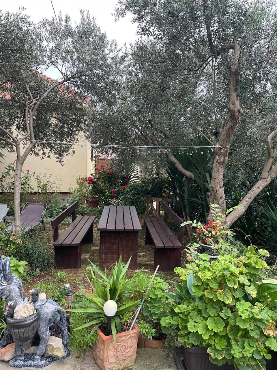 Apartman Suzana Sindija Bibinje Esterno foto