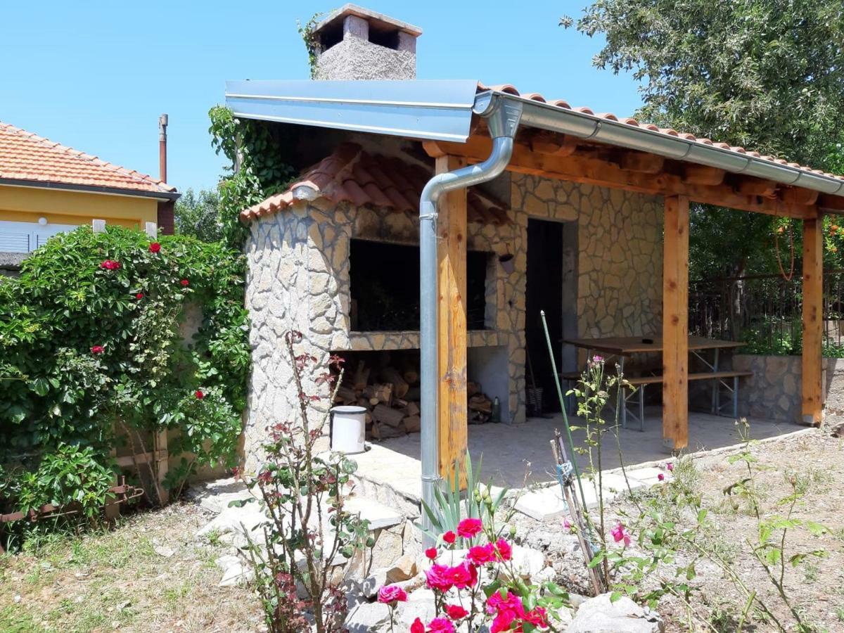 Apartman Suzana Sindija Bibinje Esterno foto